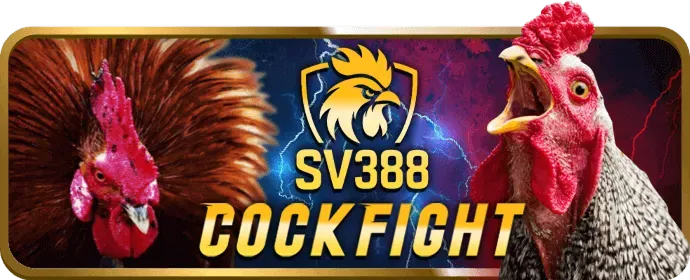 Phân tích trận đấu bóng đá và mẹo cá cược thể thao trên 98win10